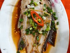 -先鲜鲫鱼粥