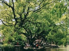 -西溪国家湿地公园