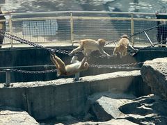 -无锡动物园·太湖欢乐园