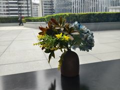 -凤凰湘语(浦东旗舰店)