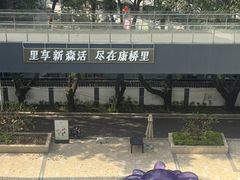 -金鸡山公园