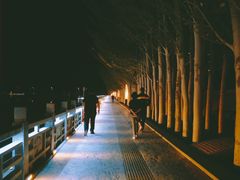 -党河风情线国家水利风景区