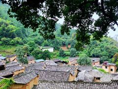 -杨家堂村