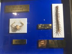 -上海昆虫博物馆