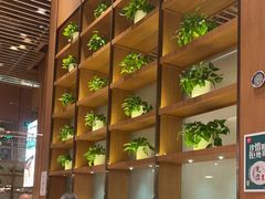 -西贝(华发商都店)