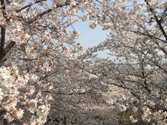 -苏州上方山国家森林公园