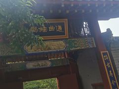 -桃花堤公园