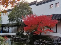 -秋霞圃