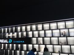 -奥斯卡升龙国际影城(RealD Cinema)