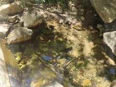 -黑龙潭风景区