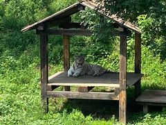 -石家庄市动物园