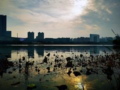 -天鹅湖体育公园