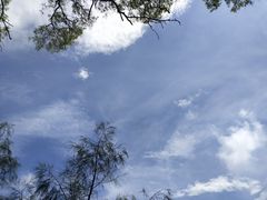-珊瑚岛