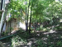 -帽儿山风景区