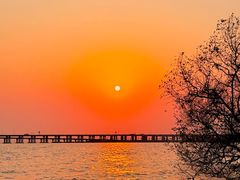 -宝安西湾红树林湿地公园