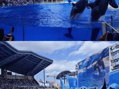 -上海海昌海洋公园