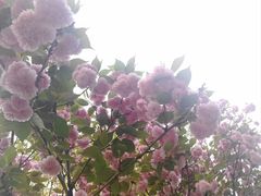 -西南林业大学(白龙校区)