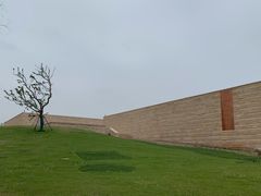 -盘龙城国家考古遗址公园