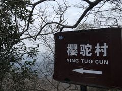 -紫金山山顶公园
