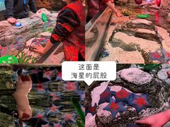 -沈阳海洋探索中心