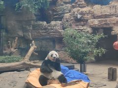 -石家庄市动物园