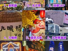 -成都大熊猫繁育研究基地