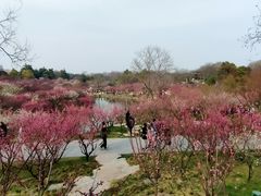 -汉陵苑