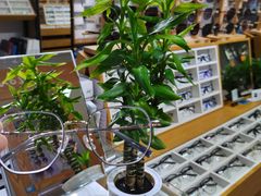 -沪睛眼镜蔡司官方授权店(金桥佳林路店)