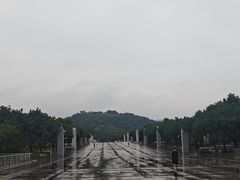 -莲花山公园