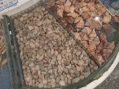 -益利大酒楼(井岸店)