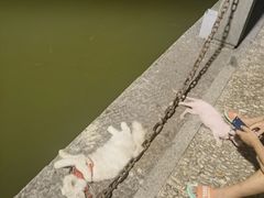 -杭州黄龙洞