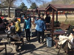 -尚庄度假村·庭台树下·户外烧烤·团建CS·轰趴营地(上庄水库店)