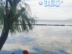 -大理洱海