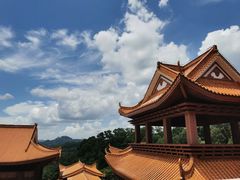 -深圳仙湖植物园