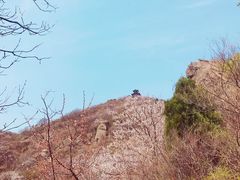 -北京鹫峰国家森林公园