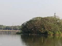 -海珠湖公园