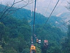 -缙云山景区