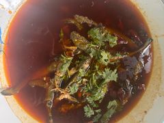 -苏记溪河鲢鱼庄(天府新区店)