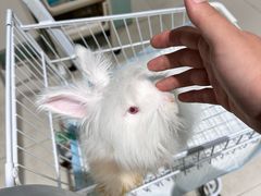 -怪兽屋·羊驼·猫咖·狗咖(俊华广场店)