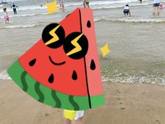 -日照海滨国家森林公园