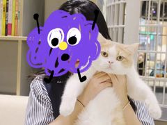 -藏猫猫咖啡主题馆(中央大道店)