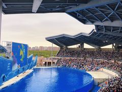 -上海海昌海洋公园