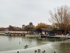 -莲花池公园