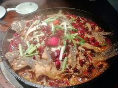 -老板恋上鱼(高新万达店)