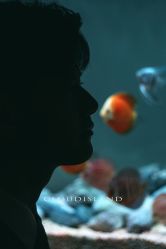 -云门影集(西安店)