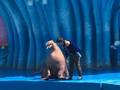 -华夏文旅海洋公园