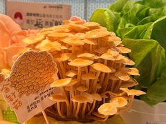-烹然四季椰子鸡火锅(姚家园万象汇店)