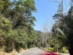 -火炉山森林公园