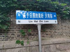 -日照海滨国家森林公园