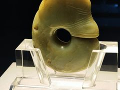 -天津自然博物馆
